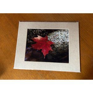 8x10 Red Maple Leaf Fine Art Photograph with Textured Mat